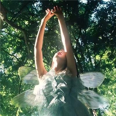 阿里，山羊与阿伯拉希姆